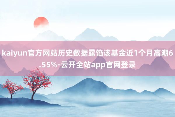 kaiyun官方网站历史数据露馅该基金近1个月高潮6.55%-云开全站app官网登录