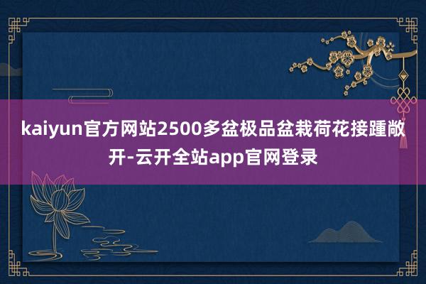 kaiyun官方网站2500多盆极品盆栽荷花接踵敞开-云开全站app官网登录